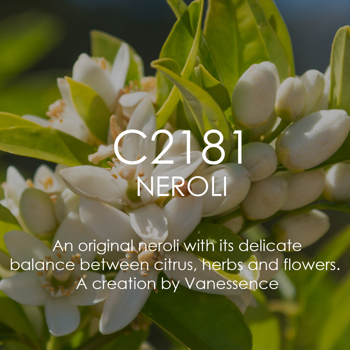 NEROLI – A Swiss Fragrance House